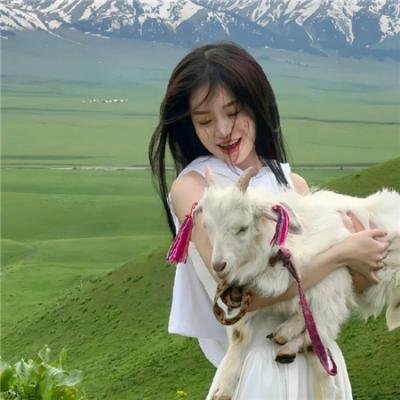 粉色樱与大眠王